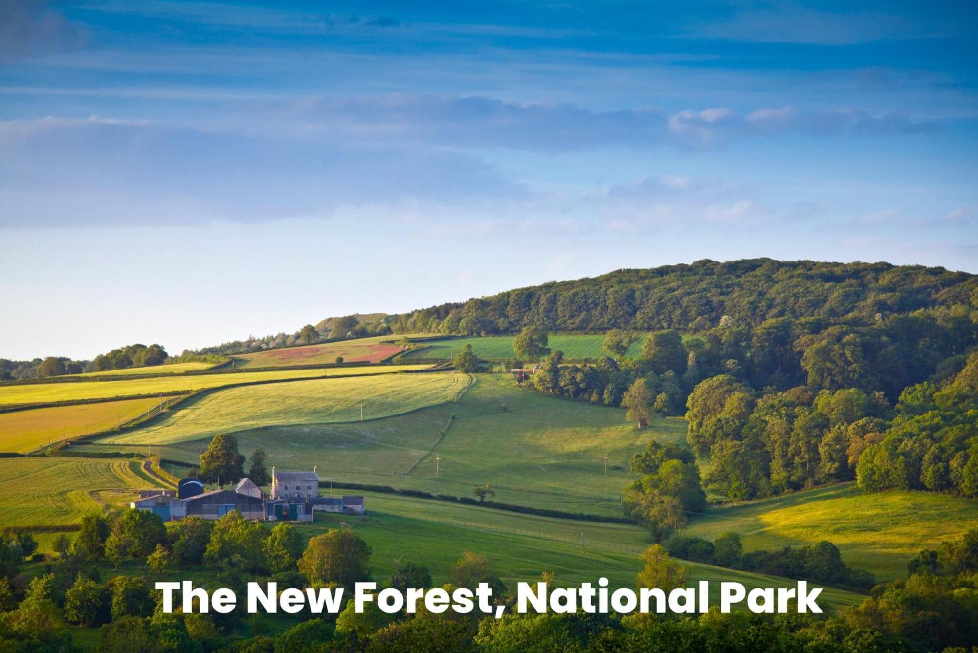 Cosy Retreat Near New Forest Ellingham  외부 사진