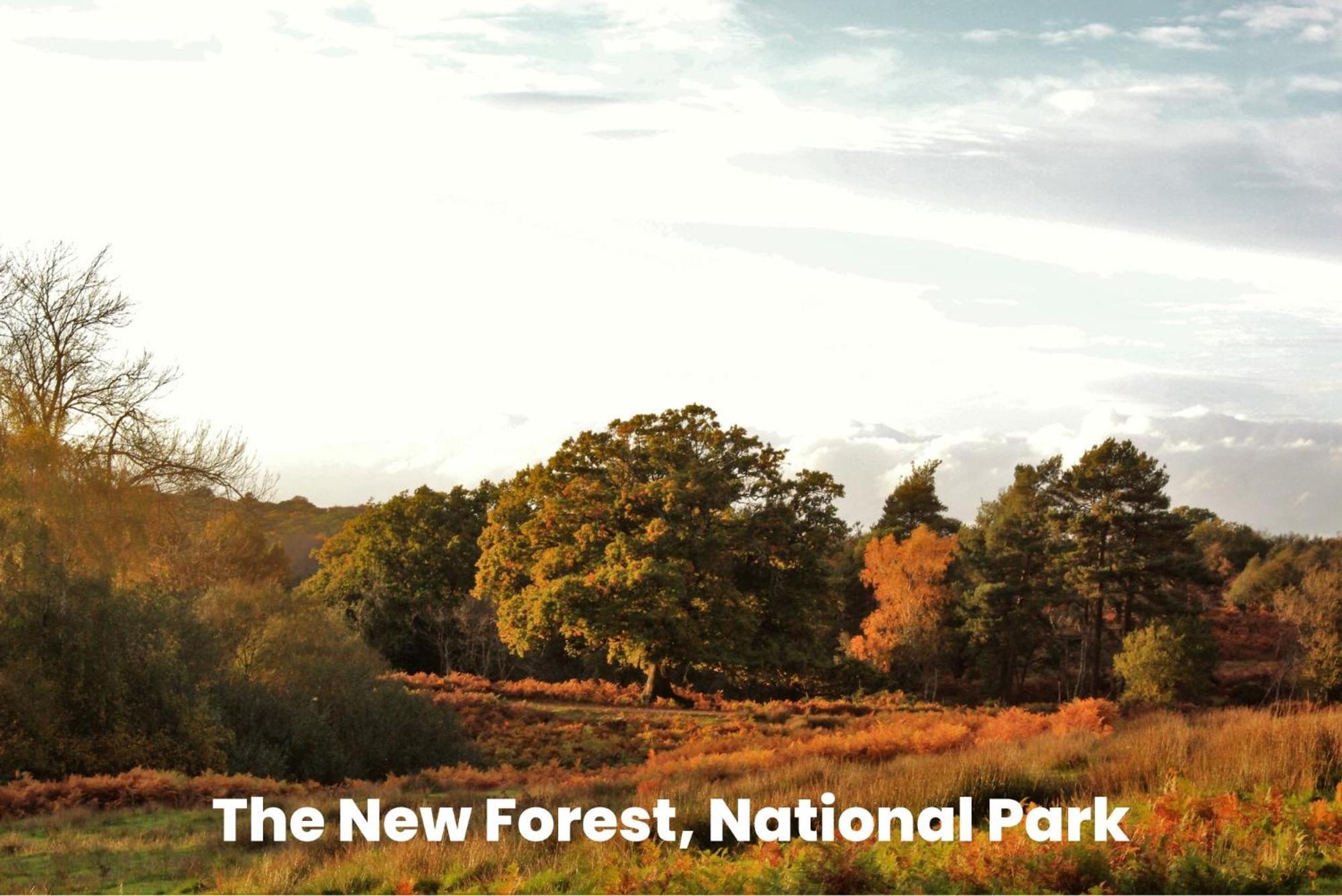 Cosy Retreat Near New Forest Ellingham  외부 사진