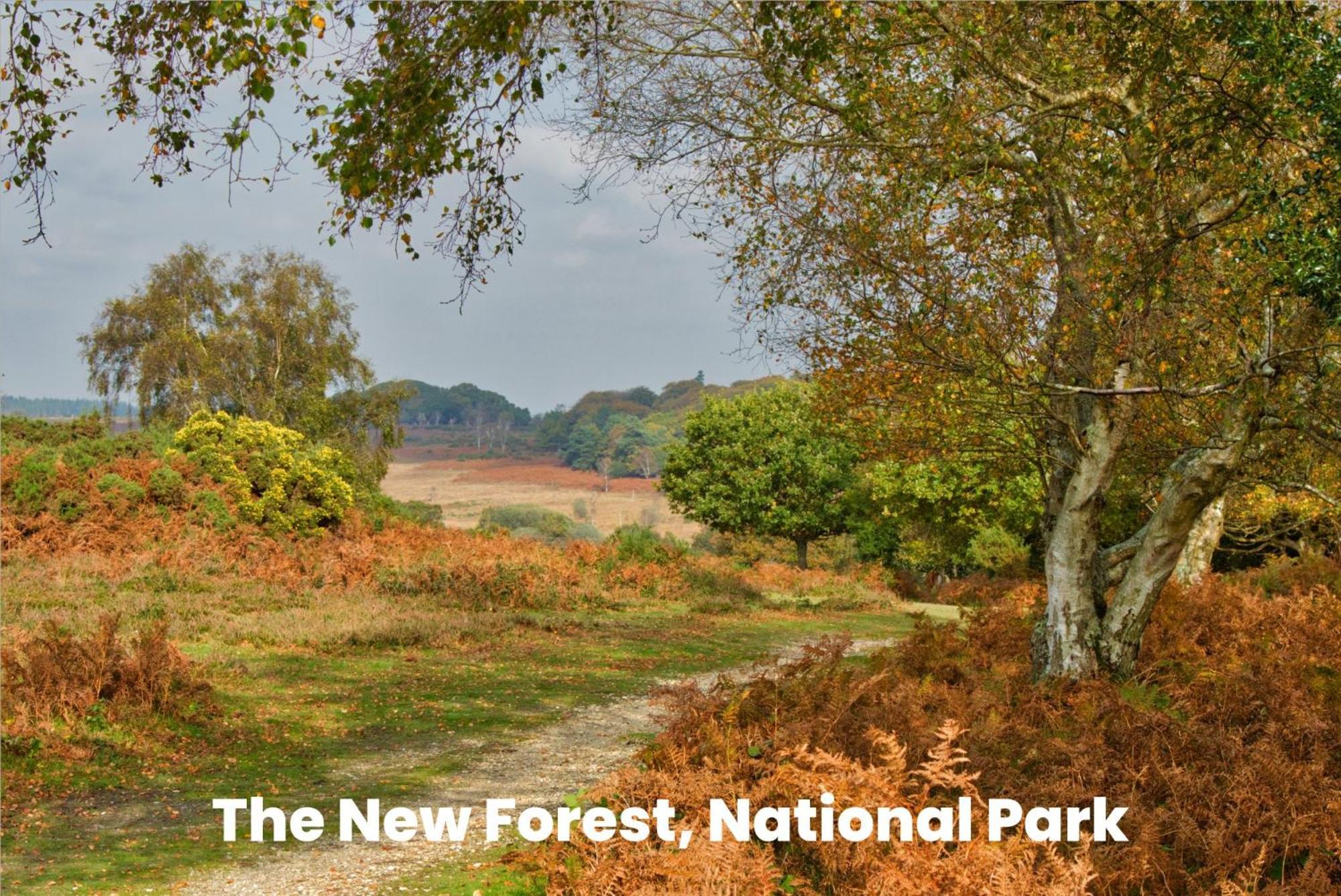 Cosy Retreat Near New Forest Ellingham  외부 사진
