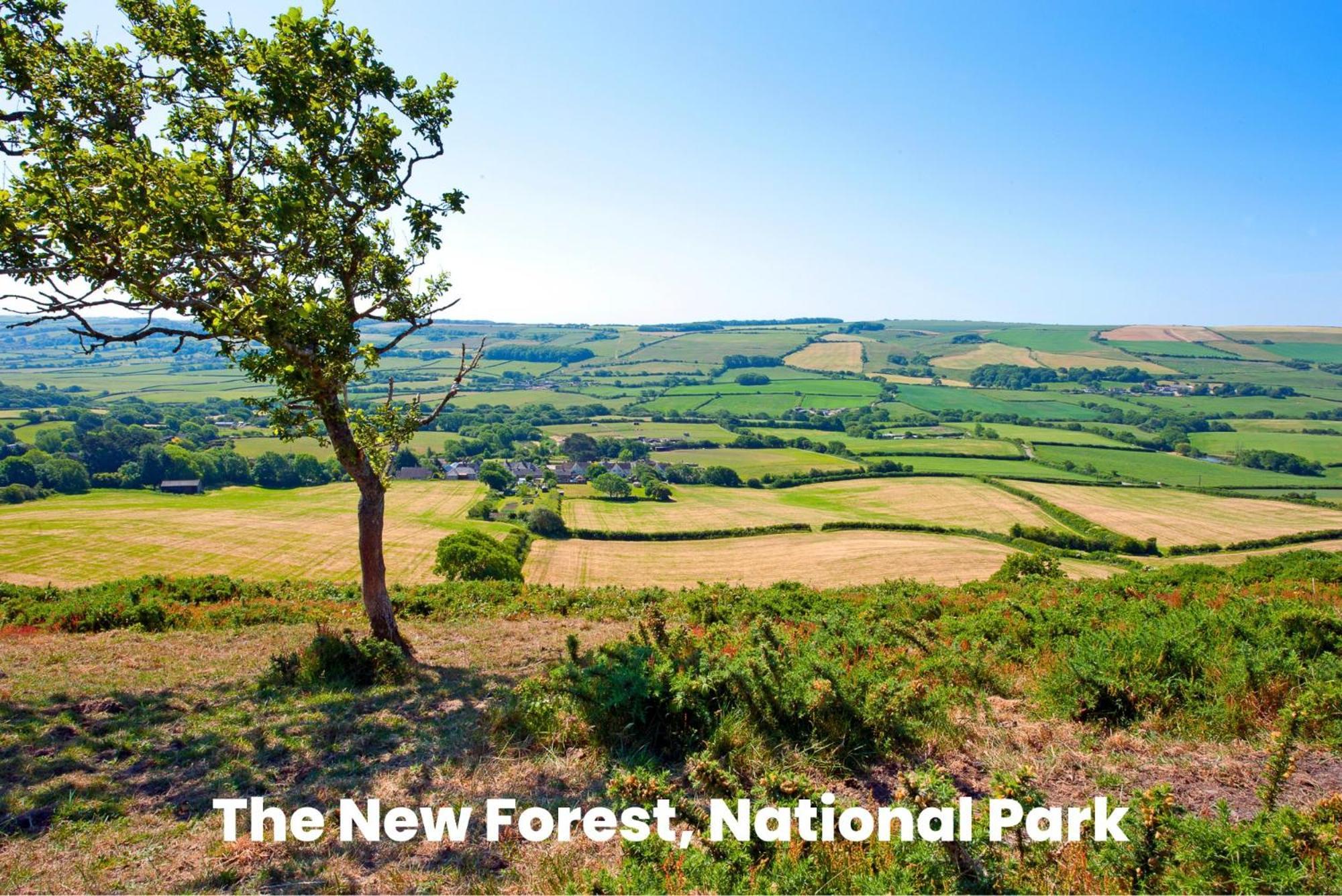 Cosy Retreat Near New Forest Ellingham  외부 사진